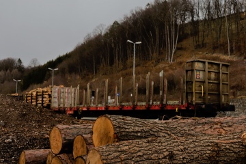 Holz im Bahnhof Traisen